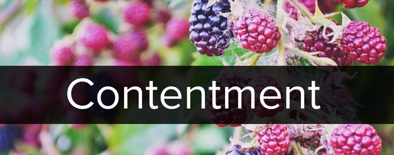 Contentment