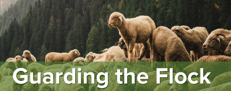 Guarding the Flock